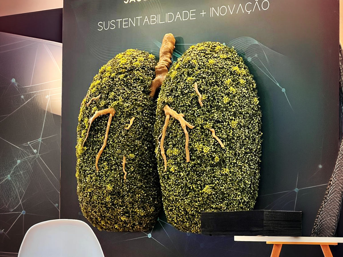 Descrição da foto 7
